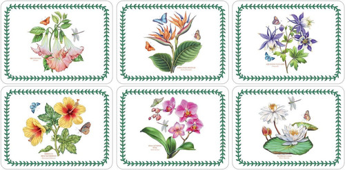 Pimpernel botanic garden - pimpernel,