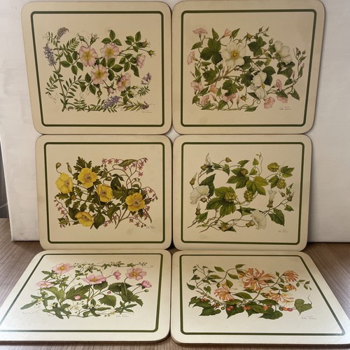 Vintage clover leaf - leaf, wild