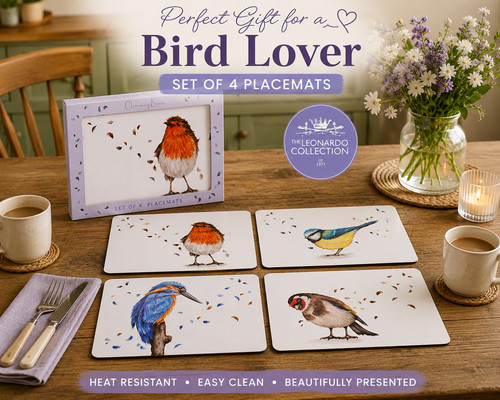 Garden bird placemats robin - bird,