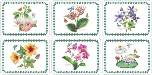 Pimpernel botanic garden - botanic,